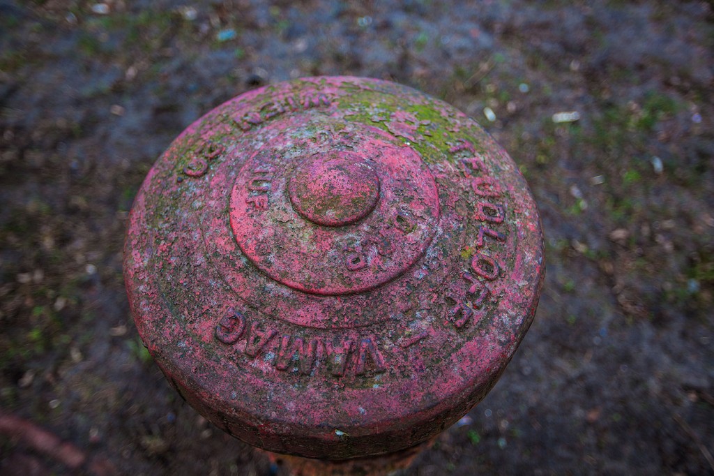 hydrant1