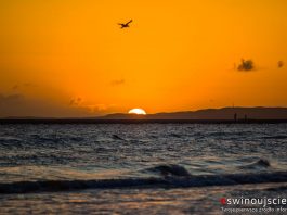 Świnoujście - Plaża - Wschód słońca